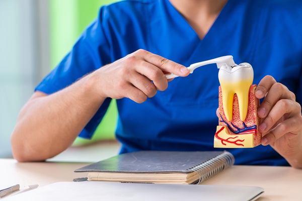What Is Root Canal Therapy?